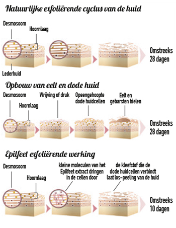 Het proces